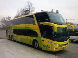 Buses Tepual: Contacto Directo y Servicio al Cliente en Chile