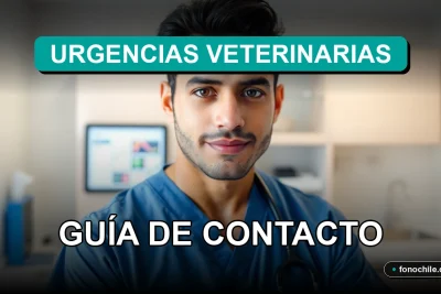 Guía de contacto para servicios de emergencia veterinaria en Santiago, disponible en 2026.